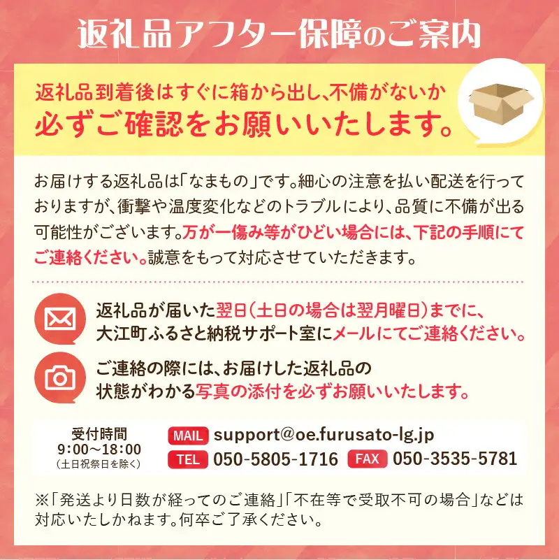 《先行受付》山形県大江町産「樹上完熟 ラフランス」約3kg 特秀 3L～4L 7玉～9玉【2026年11月中旬頃～順次発送予定】 004-014