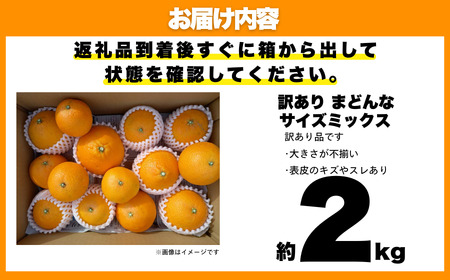 【紅まどんなと同品種】【訳あり】まどんな2kg 愛なんよ