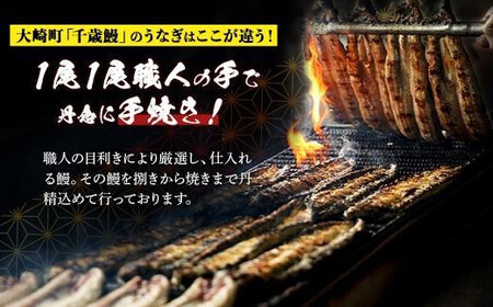 【定期便全3回】 鹿児島県 大隅産 千歳鰻 白焼き 5尾・ 蒲焼 5尾（1尾110g～130g）| 白焼き