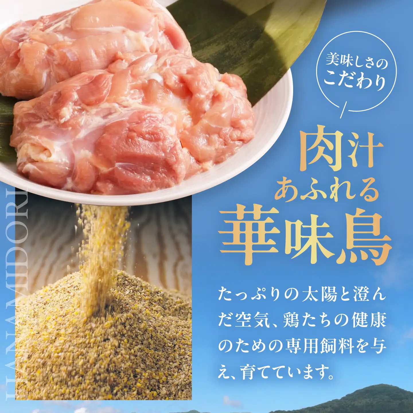 【カレー】チキン カレーセット 10食 [AGDT008] 