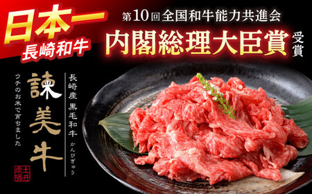 【ブランド牛＆ブランド豚の食べ比べ】諫美牛 切り落とし 600g(300g×2) ＆ 黒豚諫美豚プレミアム100 ウデ肉 切り落とし 600g(300g×2) / 切り落とし 牛肉 食べ比べ A5 赤身 焼肉 豚 豚肉 小分け ブラント豚 ハム / 諫早市 / 株式会社土井農場[AHAD102]