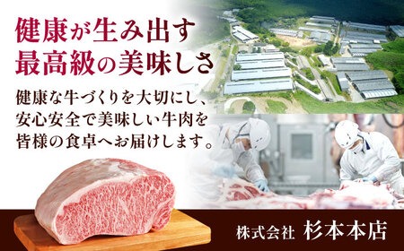 くまもと黒毛和牛 黒樺牛 A4〜A5等級 肉厚サーロインステーキ 約600g 黒毛和牛サーロインステーキ[AYBJ019]