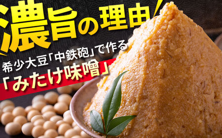 【6回定期便】昔ながらのミックスホルモン 2袋（4人前） / モツ もつ レバー ホルモン / 御嵩町 / 藤よし[AVAA083]