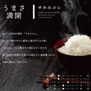 【毎月定期便】サキホコレ (無洗米 1合(150g)×8個 )全3回【配送不可地域：離島・沖縄県】【4072861】