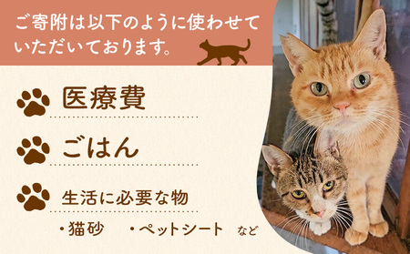 【返礼品なし】保護猫支援寄附 30,000円 一般社団法人オープンセサミアライブ 熊本県 南阿蘇村 保護猫 支援 猫 ネコ ねこ 生活支援 動物愛護 保護 返礼品なし 寄附 牧場 オープンセサミ アニマルサンクチュアリ