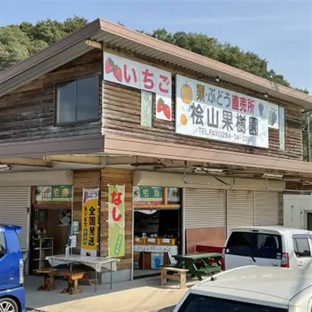 【先行受付】2026年9月順次発送 桧山果樹園 茨城県 ブランド梨 恵水5kg【配送不可地域：離島・沖縄県】【1668040】
