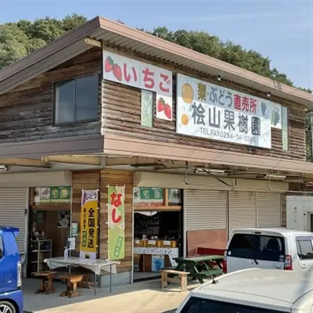 【先行受付】2026年9月順次発送 桧山果樹園 茨城県 ブランド梨 恵水3kg【配送不可地域：離島・沖縄県】【1668041】