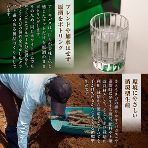 n417 国産 クラフト ラム 鹿児島 種子島 ホワイトラム ラム酒 モヒート カクテル お酒 洋酒 ARCABUZ BLANC NATURAL STRENGTH アーキバス ブラン ナチュラルストレングス 700ml×2本 【大東製糖種子島株式会社】