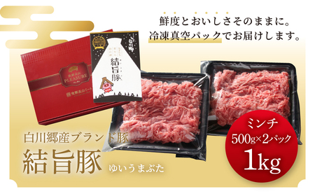結旨豚 ミンチ 500g × 2パック(1kg) 冷凍真空パック | 肉 お肉 豚肉 国産 鍋 お鍋 白川郷 岐阜県 白川村 ブランド豚 人気 おすすめ ギフト 10000円 1万 飛騨高山ミート [MS032]