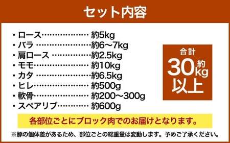 【豚半頭分！】完全無薬！梅肉エキス肥育 熊本県産 天草梅肉ポーク 食べ尽くしセット 半頭 約30kg以上 肉 お肉 豚肉 ポーク 詰め合わせ セット 冷凍 熊本県 上天草市