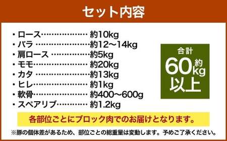 【豚1頭分！】完全無薬！梅肉エキス肥育 熊本県産 天草梅肉ポーク 食べ尽くしセット 一頭 約60kg以上 肉 お肉 豚肉 ポーク 詰め合わせ セット 冷凍 熊本県 上天草市