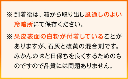 みかん 濃厚完熟 小玉みかん 約5kg