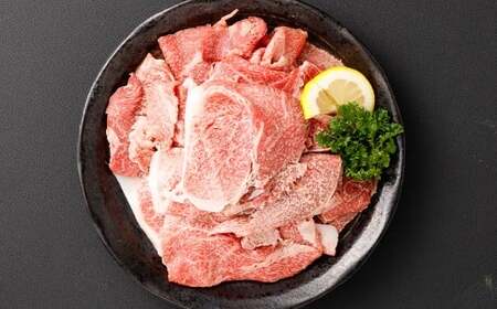 ＜黒毛和牛切り落とし 500g×1パック＞翌月末迄に順次出荷 【c1455_tu】 黒毛和牛 和牛 牛肉 肉 切り落とし 切落し お肉 国産 九州産 冷凍 宮崎県 高鍋町