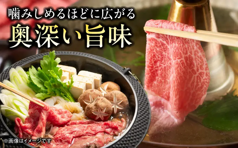 【6回定期便】宮崎牛 モモ or ウデ 赤身しゃぶすき用1kg 牛肉 肉 宮崎県産 黒毛和牛 国産牛 国産 すき焼き しゃぶしゃぶ しゃぶすき すきしゃぶ アウトドア キャンプ 料理 おかず