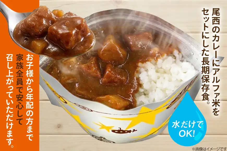 Coco壱番屋監修 尾西のマイルドカレーライス 2食 セット [サワセイ 江南店 愛知県 江南市 ko23btu100017]