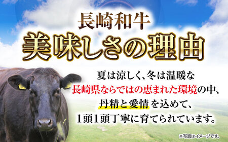 長崎和牛ヒレステーキ（150g×4枚）《壱岐市》【太陽商事】 肉 牛肉 和牛 ヒレ フィレ ヘレ ご褒美 ギフト 贈答用 ご褒美 冷凍配送 A4 A5[JDL130]