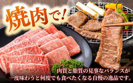 しまね和牛カルビ 500g [AIEA010] カルビ