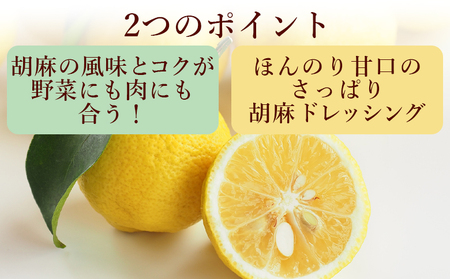 【ドレッシング】胡麻スッたらうまいで生姜 3本セット(200ml×3) ごまドレッシング kc-0004