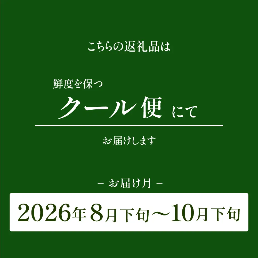 シャインマスカット 【2026年発送】山梨県産 シャインマスカット2～3房 (1.2kg以上)  フルーツ