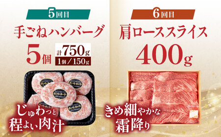 【全6回定期便】60年以上愛される老舗「野中精肉店」よりお届け！目利きの店主厳選 長崎和牛ご褒美定期便【野中精肉店】[VF98]