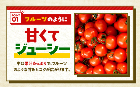 完熟 めぐみでぃトマト 3kg （毎週水曜日発送） / とまと トマト 完熟トマト 高糖度 トマト 取り寄せ / 小浜市 / 若狭の恵 【配送不可地域：離島】[BFAG030]