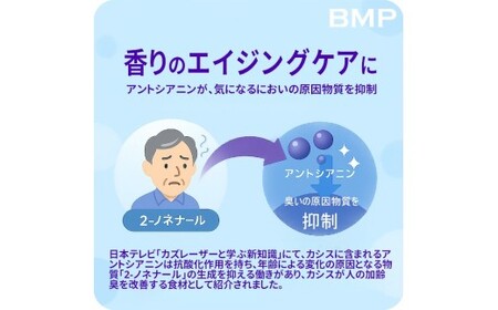 BMP カシスパウダー 3kg（100g×30袋）（カシス濃縮果汁粉末）
