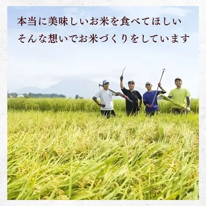 コシヒカリ 20kg【豊米】コシヒカリ 長野県 飯山市_7-54B