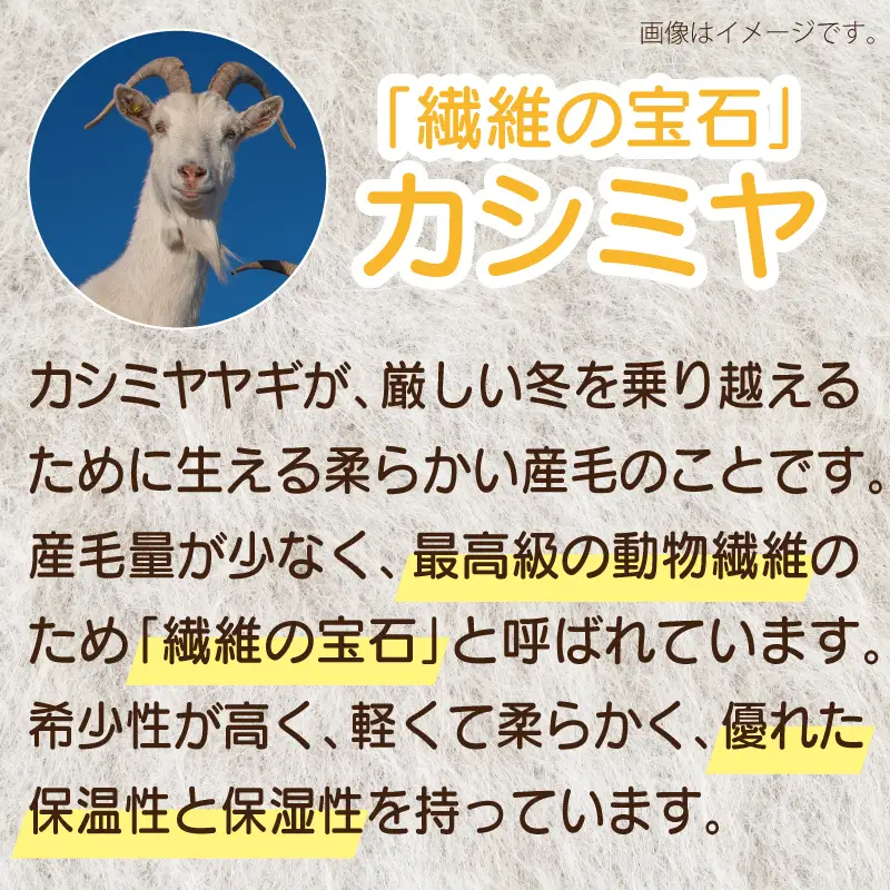 【Cadena Cashmere】キッズニット帽（ホワイト）