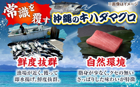 冷凍キハダマグロ 600g (300g×2パック)   [BCDZ001]