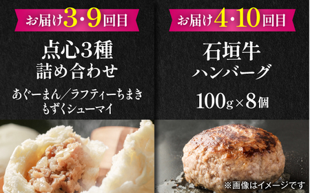 【全12回定期便】家族で満喫！沖縄のお肉贅沢セット【沖縄市】ハンバーグ あぐー 石垣牛 ステーキ 焼肉 冷凍 ギフト お取り寄せ 沖縄市 / お肉屋本店 / 豚々茶舗 / TESIO / 肉のサブロー[BCZZ035]