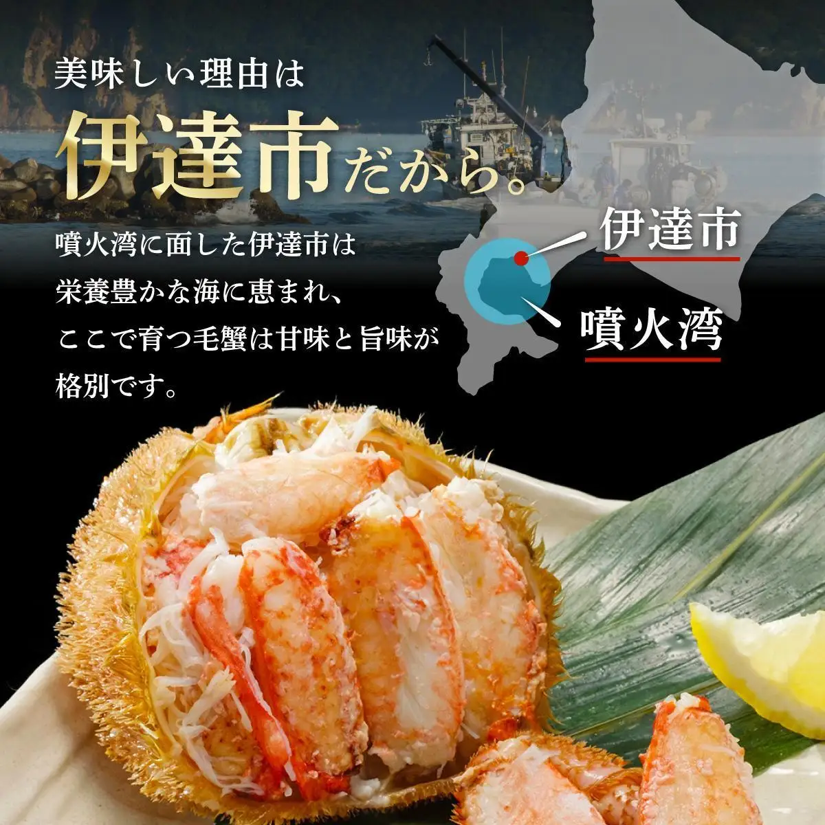 毛ガニ（姿身）Mサイズ 2尾 ogm-016