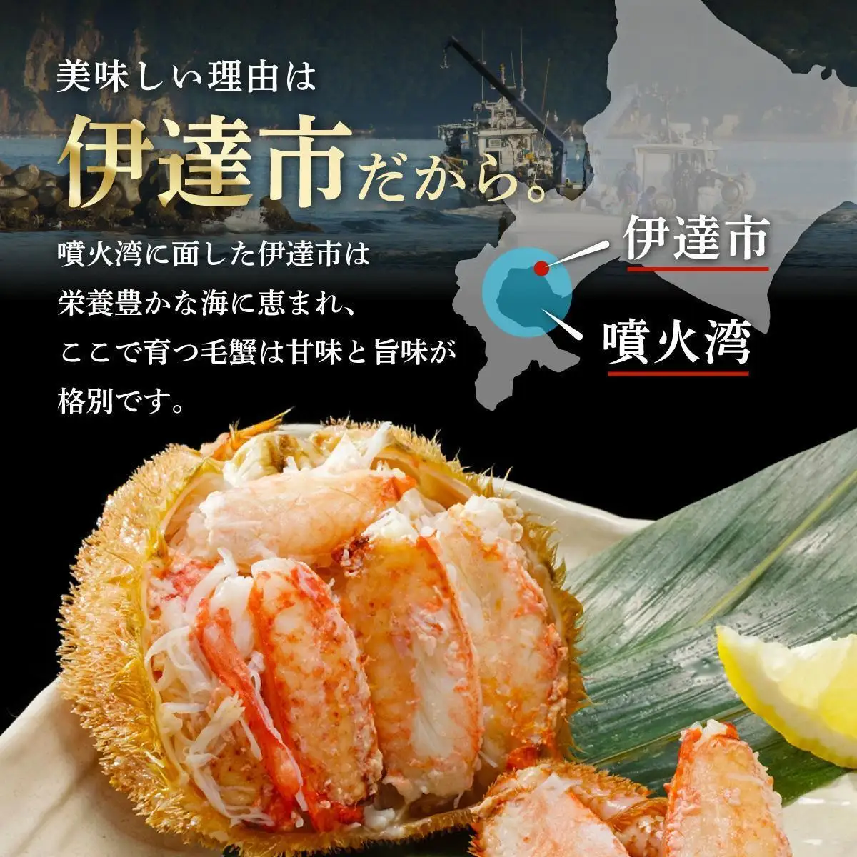 毛ガニ（姿身）Lサイズ 2尾 ogm-018