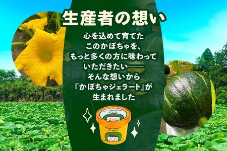 江戸崎かぼちゃを使った「かぼちゃジェラート」6個セット [1663]
