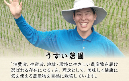【令和7年産】減農薬・化学肥料不使用  いちほまれ 5kg×1袋 特別栽培米 福井 ブランド米  5キロ 令和7年 