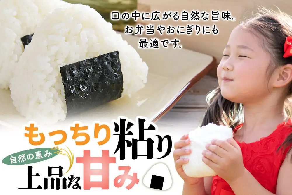【令和８年産 新米予約】あきたこまち 精米 10kg（5kg×2袋） 秋田県北秋田市産 白米