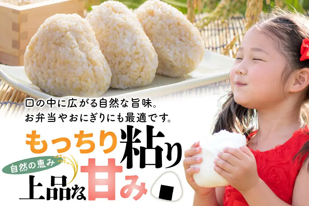 【令和８年産 新米予約】あきたこまち 玄米 5kg 秋田県北秋田市産