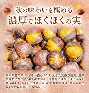 【先行予約】栗 約3kg 2Lサイズ 日本フルーツ株式会社《9月上旬-10月上旬頃出荷》熊本県 菊池市 栗 くり 熊本県産 2L 栗きんとん 栗ごはん