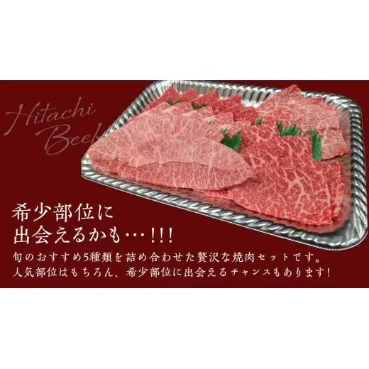 【スピード発送】【常陸牛】焼肉セット 800g (400g×2パック） (茨城県共通返礼品)