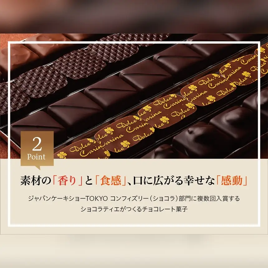 チョコレート ショコラ 詰め合わせ ギフト ガトーショコラ 塩チョコ テラコッタ 板チョコ ボンボンショコラ スイーツ ドルチェカリーナ セット 長野県 伊那市 【016-17】