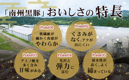 【南大隅町限定】かごしま黒豚 ももブロック（約7.0kg）NS-5 | 肉 豚肉 ぶた 豚 ブタ 黒豚 かごしま黒豚 もも肉 モモ肉 ももブロック 赤身 新鮮 産地直送 限定 大容量 鹿児島県 南大隅町 南州農場