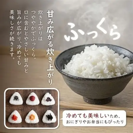 炊きたてつやつや R7年産 新潟関川村産 岩船米こしひかり 精米5kg [星山米店]【1668914】