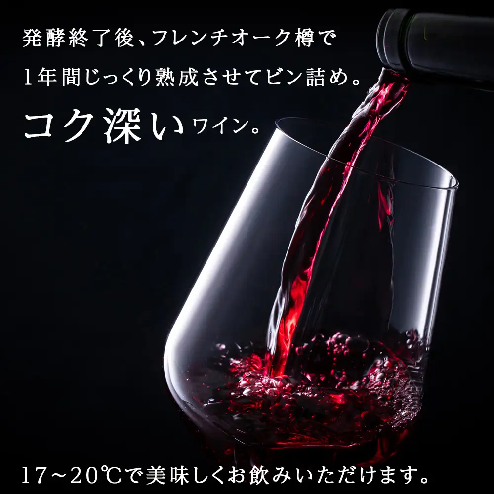 十勝ワイン 清見（キヨミ）2004準グレートビンテージ 720ml 北海道池田町 ビンテージ 赤ワイン 数量限定