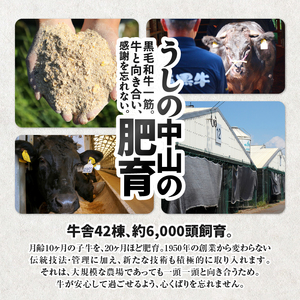 1196 鹿児島県産『 鹿児島黒牛 』A5ランク 極めた ハンバーグ 20個【うしの中山】 KN050-001-04 肉 牛肉 冷凍 黒毛和牛 惣菜 総菜