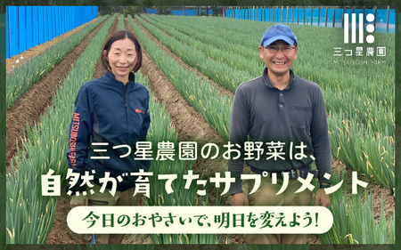 【先行予約】 ビタミンCと葉酸たっぷり「畑のサプリ白ネギ」大容量パック 約300g入 × 15袋 【2026年11月以降順次発送予定】 長ネギ 長ねぎ 葱 長葱 白葱 野菜 [A-2614]