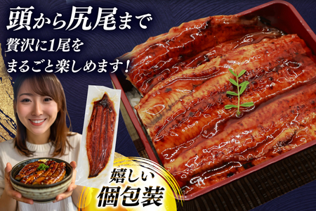 【定期便3回】うなぎ 蒲焼 特大  訳あり 3尾 [um40bak830015] うなぎ