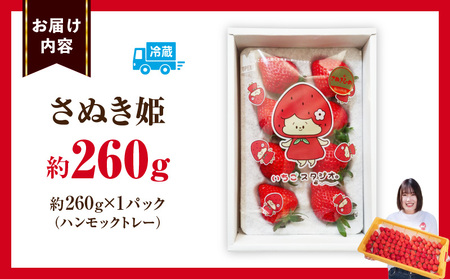 大粒いちご　極甘さぬき姫 約260g | 果物 フルーツ いちご フレッシュ ジューシー 香り 爽やか 春 真っ赤 旬の果物 人気 おすすめ 贈答 贈り物 青果物 糖度 香川県 三木町 |_mk165-015
