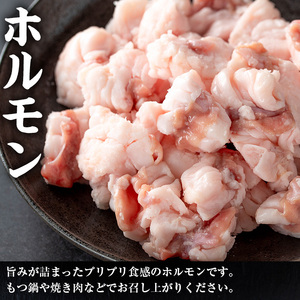 上場高原ビーフ 小腸 ホルモン 750g 【スーパーよしだ】 i1156