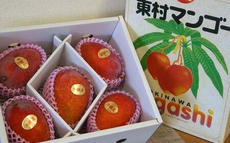 マンゴー 約2kg 完熟マンゴー 沖縄 東村産
