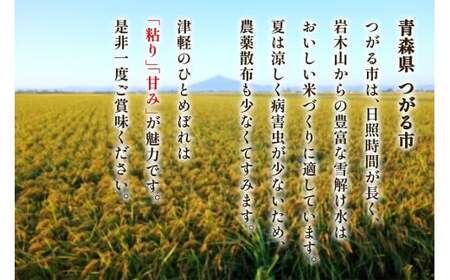 令和7年産 つがる市産「津軽のひとめぼれ」5kg [0896]