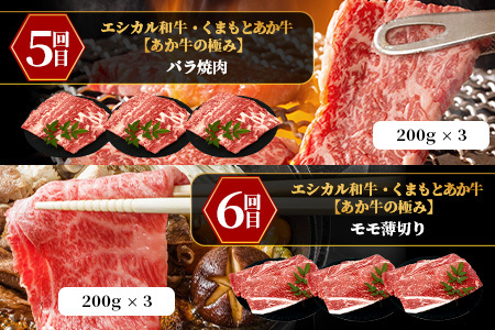 【定期便6回】エシカル和牛・くまもとあか牛《あか牛の極み 堪能》 定期便 (合計 3.4kg) SDGs 033-0518